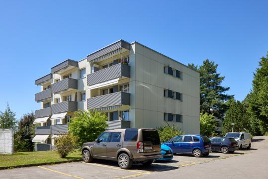 image Lisière 17